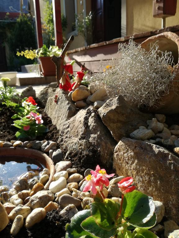Bed and Breakfast Forras Fogado Бюкксек Экстерьер фото